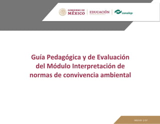 INSO-03 1/ 67
Guía Pedagógica y de Evaluación
del Módulo Interpretación de
normas de convivencia ambiental
 