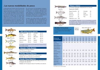Las nuevas modalidades de pesca                                                                                                                       Piezas a retener
                                                                                                                                                                    Por día por pescador amparado por su licencia.
                      La Secretaría de Turismo de la Provincia de    Por otra parte, las autoridades correspon-
                                                                                                                                 Pejerrey                           Resolución 126/04
                      Entre Ríos procura la conservación de las      dientes están controlando rigurosamente
                      especies de peces que pueblan sus arroyos      el respeto a los tamaños indicados para                                                        Bagre Amarillo                          (2)                    Armado                        (8)
                      y ríos. Su Plan Estratégico para el desarro-   cada especie y al cumplimiento de las ve-
                                                                     das estipulada, de modo de asegurar a los                                                      Dorado                                  (1)                    Boga                          (1)
                      llo sustentable del turismo propone ofrecer
                      servicios de calidad para los pescadores       pescadores deportivos la continuidad en                      Sábalo                            Mocholo                                 (2)                    Manduví                       (2)
                      deportivos. En tal sentido, se están reali-    el tiempo de su deporte preferido.
                                                                                                                                                                    Tararira                                (2)                    Patí                          (1)
                      zando los primeros cursos en el país para      La pesca con mosca resulta, en este senti-                                                     Pejerrey (Res. 860/9) (10)
                      guías de pesca, quienes se instruyen sobre     do, la modalidad más conservacionista, ya
                      la modalidad de pesca con devolución, que                                                                    Surubí                           Las cantidades referidas no son acumulativas; permitir
                                                                     que la delicadeza de sus señuelos permite
                      consiste en otorgarle la libertad a la presa   al pescador deportivo desprender a su pre-                                                     en tránsito y por vehículo solamente las cantidades au-
                      capturada sin que sufra daños irreparables.    sa con escaso daño y devolverla a su medio.                                                    torizadas por días, independientemente del número de
                                                                                                                                                                    pescadores habilitados
                                                                                                                                 Tararira

                                                                                                                       Medidas de las piezas                                                  Especie                        Talla mínima 65 cm.
                                                                                                                       La medida se toma de la punta del                                      Dorado
                                                                                                                       hocico hasta el inicio de la aleta
                                                         Talla mínima de las especies                                  caudal.
                                Armado
                                                       Bagre Amarillo    20 cm.      Armado        30 cm.
4                                                      Dorado            65 cm.      Boga          42 cm.                                                                                                                                                                                        5
                                                       Moncholo          30 cm.      Manduví       30 cm.
INFORMACIÓN GENERAL




                                                                                                                                                                                                                                                                                             INFORMACIÓN GENERAL
                                                                                                                                                                                         Resistencia
                                                                                                                                                                Corrientes




                                                                                                                                                                                                                              Mendoza
                             Bagre Amarillo                                                                          Distancias




                                                                                                                                                                                                                                          B. Blanca




                                                                                                                                                                                                                                                                                   Tucumán
                                                                                                                                                      Córdoba




                                                                                                                                                                                                                  Santa Fe
                                                       Pejerrey          25 cm.      Patí          40 cm.




                                                                                                                                                                               Posadas




                                                                                                                                                                                                                                                      San Luis


                                                                                                                                                                                                                                                                       La Rioja
                                                                                                                                                                                                       Rosario
                                                                                                                                            Buenos
                                                                                                                     localidad/km*




                                                                                                                                            Aires
                                                       Salmón de Río     35 cm.      Sábalo        42 cm.
                                                       Tararira          42 cm.      Surubí        75 cm.            La Paz                 526       504       429           639        446           353        174        1103       1116          844              956        941
                                  Boga                                                                               Santa Elena
                                                       La medida se toma de la punta del hocico hasta el inicio
                                                       de la aleta caudal.                                           Piedras Blancas
                                                                                                                     Hernandarias
                                                         Atención / Veda Absoluta                                    Pueblo Brugo
                                 Dorado                Manguruyú (Paulicea Lutketni)
                                                                                                                     Paraná                 470       360       573           761        590           180        30         v929         942         760              782        767
                                                       Pacú (Colossoma Mitrei)
                                                                                                                     General Alvear
                                                         Dorado / Pesca Deportiva                                    Diamante               434       410       623           797        640           138        80          972       899           713              825        810
                                Manduví                Habilitada: Del 15 de Enero al 15 de Octubre                  Victoria               354       484       697           833        714           58         154         909       827           650              870        882
                                                       Vedada: Del 16 de Octubre al 14 de Enero                      Gualeguay              234       602       728           831        745           178        261        1029         867         770              990        1002
                                                                                                                     Villa Paranacito
                                                         Surubí / Pesca Deportiva
                                                                                                                     Federación             478       675       476           546        495           399        345        1249       1111          987          1099 1084
                               Moncholo                Habilitada con devolución: Del 16 de Marzo hasta el 14
                                                       de Agosto de cada año.                                        Concordia              438       627       501           571        520           345        297        1194 1056                932          1044 1029
                                                                                                                     Puerto Yerua
                                                       Vedada: Del 15 de Agosto hasta el 15 de Marzo de cada año.
                                                                                                                     Colón                  330       618       620           690        639           291        288        1141         961         882          1052 1037
                                   Patí                                                                             *Las distancias son aproximadas
 