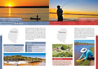 Hernandarias                                                                                         Pueblo Brugo




               Hernandarias                                                                                                                                                   Pueblo Brugo
 Productos y Servicios                                                                                         Productos y Servicios



                                                              Hernandarias está ubicada sobre la mar-                                                             Siguiendo el cauce del río Paraná se en-
                                                              gen del río Paraná. Las aguas torrentosas                                                           cuentra este paraje, que tiene poco más
                               á




                                                                                                                                    ná
                                 n




                                                              atesoran una riquísima fauna ictícola, ver-                                                         de 500 habitantes y es completamente na-
                              ra




                                                                                                                                  ra
                           Pa




                                                                                                                               Pa
                                                       y




                                                                                                                                                           y
                                     Hernandarias
                                                     rugua




                                                                                                                                                         rugua
                                                              dadera providencia de la naturaleza al al-                                 Pueblo Brugo             tural, casi virgen. Se accede por la Ruta 8 a
                         Río




                                                                                                                              Río
                                                              cance del pescador. La práctica de la pes-                                                          la altura de Cerrito. Aquí encontrará playas
                                                    Río U




                                                                                                                                                        Río U
10                                                            ca deportiva se desarrolla durante todo                                                             naturales, buenos lugares para la pesca y       11
                                                              el año en medio de un paisaje atrapante.                                                            caminos costeros. El sitio es ideal para los
HERNANDARIAS




                                                                                                                                                                                                                  PUEBLO BRUGO
                                                              Hernandarias ofrece bungalows y camping                                                             amantes de la naturaleza.
                                                              como alojamiento.


                                                                  Informes

                   Mas información                                Municipalidad

                Para ampliar la información y encontrar           Teléfono:   (0343) 4960303
                los guías de pesca y prestadores turísti-         E-mail:     secretaria@hernandarias.gov.ar
                cos de esta localidad, visite nuestro sitio
                web: www.unatierradiferente.com                   Sitio web: www.hernandarias.gov.ar




                                                                                                                        Mas información

                                                                                                                    Para ampliar la información y encontrar
                                                                                                                    los guías de pesca y prestadores turísti-
                                                                                                                    cos de esta localidad, visite nuestro sitio
                                                                                                                    web: www.unatierradiferente.com
 