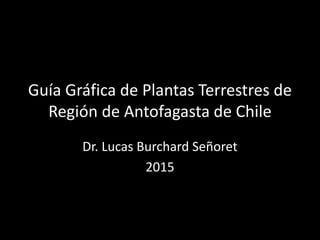 Guía Gráfica de Plantas Terrestres de
Región de Antofagasta de Chile
Dr. Lucas Burchard Señoret
2015
 