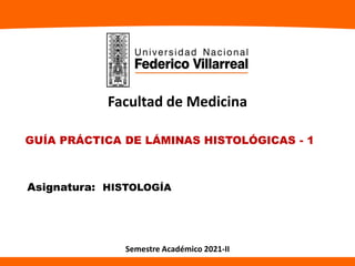 GUÍA PRÁCTICA DE LÁMINAS HISTOLÓGICAS - 1
Asignatura: HISTOLOGÍA
Facultad de Medicina
Semestre Académico 2021-II
 