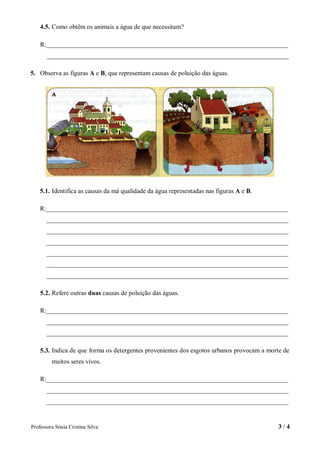 4.5. Como obtêm os animais a água de que necessitam?

    R:___________________________________________________________________________
       ___________________________________________________________________________

5. Observa as figuras A e B, que representam causas de poluição das águas.




    5.1. Identifica as causas da má qualidade da água representadas nas figuras A e B.

    R:___________________________________________________________________________
       ___________________________________________________________________________
       ___________________________________________________________________________
       ___________________________________________________________________________
       ___________________________________________________________________________
       ___________________________________________________________________________
       ___________________________________________________________________________

    5.2. Refere outras duas causas de poluição das águas.

    R:___________________________________________________________________________
       ___________________________________________________________________________
       ___________________________________________________________________________

    5.3. Indica de que forma os detergentes provenientes dos esgotos urbanos provocam a morte de
         muitos seres vivos.

    R:___________________________________________________________________________
       ___________________________________________________________________________
       ___________________________________________________________________________


Professora Sónia Cristina Silva                                                            3/4
 