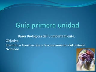Guía primera unidad Bases Biológicas del Comportamiento. Objetivo: Identificar la estructura y funcionamiento del Sistema Nervioso 