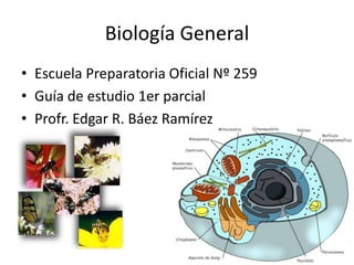 Biología General
• Escuela Preparatoria Oficial Nº 259
• Guía de estudio 1er parcial
• Profr. Edgar R. Báez Ramírez
 