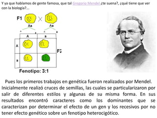 Y ya que hablamos de gente famosa, que tal Gregorio Mendel ¿te suena?, ¿qué tiene que ver
con la biología?...




  Pues los primeros trabajos en genética fueron realizados por Mendel.
Inicialmente realizó cruces de semillas, las cuales se particularizaron por
salir de diferentes estilos y algunas de su misma forma. En sus
resultados encontró caracteres como los dominantes que se
caracterizan por determinar el efecto de un gen y los recesivos por no
tener efecto genético sobre un fenotipo heterocigótico.
 