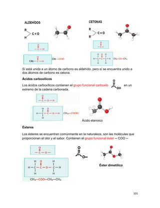 101
Sí está unida a un átomo de carbono es aldehído, pero sí se encuentra unido a
dos átomos de carbono es cetona.
Ácidos carboxílicos
Los ácidos carboxílicos contienen el grupo funcional carboxilo en un
extremo de la cadena carbonada.
Ácido etanoico
Ésteres
Los ésteres se encuentran comúnmente en la naturaleza, son las moléculas que
proporcionan el olor y el sabor. Contienen el grupo funcional éster ─ COO ─
Éster dimetílico
 