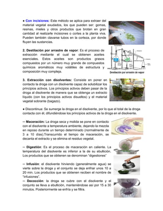 132
● Con incisiones: Este método se aplica para extraer del
material vegetal exudados, los que pueden ser: gomas,
resinas, mieles y otros productos que brotan en gran
cantidad al realizarle incisiones o cortes a la planta viva.
Pueden también clavarse tubos en la corteza, por donde
fluyen las sustancias.
2. Destilación por arrastre de vapor: Es el proceso de
extracción mediante el cual se obtienen aceites
esenciales. Estos aceites son productos grasos
compuestos por un número muy grande de compuestos
químicos aromáticos muy volátiles de estructura y
composición muy compleja.
3. Extracción con disolventes: Consiste en poner en
contacto la droga con un disolvente capaz de solubilizar los
principios activos. Los principios activos deben pasar de la
droga al disolvente de manera que se obtenga un extracto
líquido (con los principios activos disueltos) y el material
vegetal sobrante (bagazo).
● Discontinua: Se sumerge la droga en el disolvente, por lo que el total de la droga
contacta con él, difundiéndose los principios activos de la droga en el disolvente.
─ Maceración: La droga seca y molida se pone en contacto
con el disolvente a temperatura ambiente, dejando la mezcla
en reposo durante un tiempo determinado (normalmente de
3 a 10 días).Transcurrido el tiempo de maceración, se
decanta el extracto y se elimina el residuo vegetal.
─ Digestión: Es el proceso de maceración en caliente. La
temperatura del disolvente es inferior a la de su ebullición.
Los productos que se obtienen se denominan “digestiones”
─ Infusión: el disolvente hirviendo (generalmente agua) se
vierte sobre la droga y el conjunto se deja enfriar unos 10 a
20 min. Los productos que se obtienen reciben el nombre de
“infusiones”.
─ Decocción: la droga se cubre con el disolvente y el
conjunto se lleva a ebullición, manteniéndose así por 15 a 30
minutos. Posteriormente se enfría y se filtra.
 