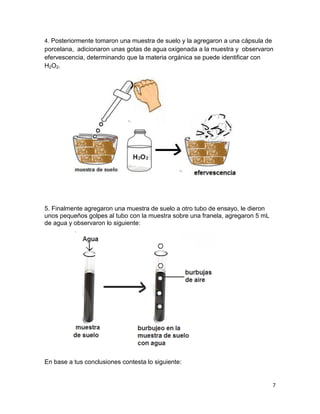 7
4. Posteriormente tomaron una muestra de suelo y la agregaron a una cápsula de
porcelana, adicionaron unas gotas de agua oxigenada a la muestra y observaron
efervescencia, determinando que la materia orgánica se puede identificar con
H2O2.
5. Finalmente agregaron una muestra de suelo a otro tubo de ensayo, le dieron
unos pequeños golpes al tubo con la muestra sobre una franela, agregaron 5 mL
de agua y observaron lo siguiente:
En base a tus conclusiones contesta lo siguiente:
 