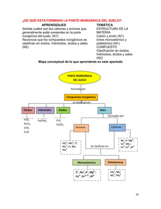 16
¿DE QUÉ ESTÁ FORMADA LA PARTE INORGÁNICA DEL SUELO?
APRENDIZAJES TEMÁTICA
Señala cuáles son los cationes y aniones que
generalmente están presentes en la parte
inorgánica del suelo. (N1)
Reconoce que los compuestos inorgánicos se
clasifican en óxidos, hidróxidos, ácidos y sales.
(N2)
ESTRUCTURA DE LA
MATERIA
Catión y anión (N1)
Iones monoatómico y
poliatómico (N1)
COMPUESTO
Clasificación en óxidos,
hidróxidos, ácidos y sales
(N2)
Mapa conceptual de lo que aprenderás en este apartado
formada por
se clasifican en
formadas por
Se clasifican en
PARTE INORGÁNICA
DEL SUELO
Compuestos inorgánicos
Óxidos Hidróxidos Ácidos Sales
Aniones Cationes
Monoatómicos Poliatómicos
FeO,
Al2O3,
SnO,
CuO
Fe(OH)2
Al(OH)3
H2S,
H2CO3
S2-
, Na+
, K+
, Mg2+
,
Ca2+
,Fe2+,3+
, Al3+
CO3
2-
, NH4
+
SO4
2-
, PO4
3-
CO3
2-
, SiO3
2-
, S
2-
,
SO4
2-
, Cl
-
, NO3
-
PO4
3-
Na
+
, K
+
, Mg
2+
,
Ca
2+
, NH4
+
,
Fe
2+
, Fe
3+
, Al
3+
 