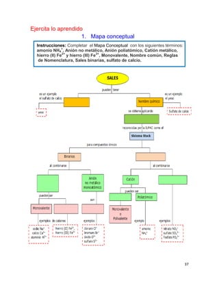 37
Ejercita lo aprendido
1. Mapa conceptual
Instrucciones: Completar el Mapa Conceptual con los siguientes términos:
amonio NH4
+
, Anión no metálico, Anión poliatómico, Catión metálico,
hierro (II) Fe2+
y hierro (III) Fe3+
, Monovalente, Nombre común, Reglas
de Nomenclatura, Sales binarias, sulfato de calcio.
 