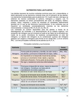 41
NUTRIENTES PARA LAS PLANTAS
Las plantas requieren de muchos nutrientes químicos para vivir y desarrollarse, a
estos elementos se les denomina nutriente pues son el alimento de las plantas.
Los elementos fundamentales para la planta son 16. A partir del aire y del agua se
obtienen de manera combinada el carbono, hidrogeno y oxígeno. Los 13
elementos restantes se toman principalmente del suelo. El nitrógeno, fosforo,
potasio, calcio, magnesio y azufre se necesitan en cantidades relativamente
grandes por lo que se les denomina macronutrientes. A los nutrientes que se
requieren en cantidades considerablemente menores se les denomina
micronutrientes e incluye el Mn, Fe, B, Zn, Cu, Mo, Cl.
Los nutrientes se vuelven disponibles para las plantas a través de la
desintegración de minerales y la descomposición de la materia orgánica, con
excepción del nitrógeno que se incorpora al suelo al ser fijado de la atmosfera por
medio de la acción microbiana de bacterias correspondientes al ciclo del
nitrógeno. La fijación del nitrógeno es la combinación química del nitrógeno
gaseoso con oxígeno e hidrogeno para formar el ion nitrato NO3
-
o el ion amonio
NH4
+
. Los tres principales nutrientes de las plantas son N, P, K.
Principales nutrientes y sus funciones
Nutriente Función forma
asimilable
Nitrógeno
Forma parte de proteínas y clorofila, da color verde a
las plantas y promueve el desarrollo de hojas y tallos.
NH4
+
, NO3
-
Fosforo
Es importante en el desarrollo inicial de las plantas,
provoca un crecimiento inicial, rápido y vigoroso.
Estimula la floración. Forma parte de las proteínas.
H2PO4
-
,
HPO4
2-
Potasio Da vigor y resistencia contra las enfermedades. K+
Calcio
Promueve el desarrollo de raíces, mejora la absorción
del nitrógeno. Constituye una base para la
neutralización de ácidos orgánicos
Ca2+
Magnesio Mantiene el color verde obscuro en las hojas Mg2+
Azufre Ayuda en la formación de la clorofila. Promueve el
desarrollo de las raíces. Forma parte de las proteínas.
SO4
2-
,
SO3
2-
Manganeso Ayuda a la formación de la clorofila y contrarresta el
efecto de una aireación deficiente.
Mn2+
Hierro Ayuda a la formación de la clorofila Fe2+
, Fe3+
C, H, O Elementos estructurales principales en los tejidos H2O, OH,
CO2
 
