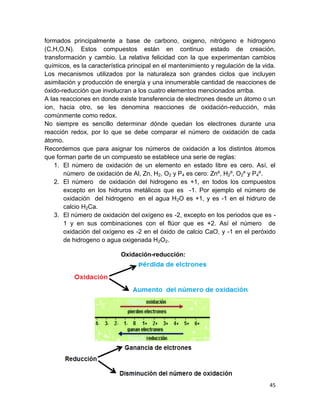 45
formados principalmente a base de carbono, oxigeno, nitrógeno e hidrogeno
(C,H,O,N). Estos compuestos están en continuo estado de creación,
transformación y cambio. La relativa felicidad con la que experimentan cambios
químicos, es la característica principal en el mantenimiento y regulación de la vida.
Los mecanismos utilizados por la naturaleza son grandes ciclos que incluyen
asimilación y producción de energía y una innumerable cantidad de reacciones de
óxido-reducción que involucran a los cuatro elementos mencionados arriba.
A las reacciones en donde existe transferencia de electrones desde un átomo o un
ion, hacia otro, se les denomina reacciones de oxidación-reducción, más
comúnmente como redox.
No siempre es sencillo determinar dónde quedan los electrones durante una
reacción redox, por lo que se debe comparar el número de oxidación de cada
átomo.
Recordemos que para asignar los números de oxidación a los distintos átomos
que forman parte de un compuesto se establece una serie de reglas:
1. El número de oxidación de un elemento en estado libre es cero. Así, el
número de oxidación de Al, Zn, H2, O2 y P4 es cero: Znº, H2º, O2º y P4º.
2. El número de oxidación del hidrogeno es +1, en todos los compuestos
excepto en los hidruros metálicos que es -1. Por ejemplo el número de
oxidación del hidrogeno en el agua H2O es +1, y es -1 en el hidruro de
calcio H2Ca.
3. El número de oxidación del oxígeno es -2, excepto en los periodos que es -
1 y en sus combinaciones con el flúor que es +2. Así el número de
oxidación del oxígeno es -2 en el óxido de calcio CaO, y -1 en el peróxido
de hidrogeno o agua oxigenada H2O2.
Oxidación-reducción:
 