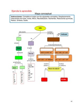 47
Ejercita lo aprendido
Mapa conceptual
Instrucciones: Completa el mapa con los siguientes conceptos: Desplazamiento,
Intercambio de iones, Iones, Micro, Neutralización, Nutrientes, Reacciones químicas,
Redox, Síntesis, Suelo.
 