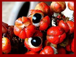 LA SALLE  3a Série Turma 135 Profa. CLARETE 