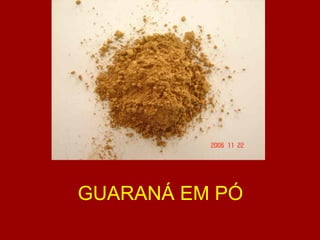 GUARANÁ EM PÓ 
