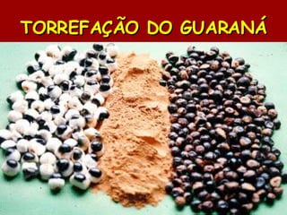 TORREFAÇÃO DO GUARANÁ 