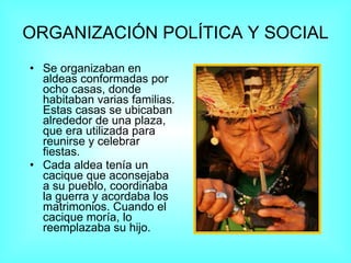 ORGANIZACIÓN POLÍTICA Y SOCIAL Se organizaban en aldeas conformadas por ocho casas, donde habitaban varias familias. Estas casas se ubicaban alrededor de una plaza, que era utilizada para reunirse y celebrar fiestas.  Cada aldea tenía un cacique que aconsejaba a su pueblo, coordinaba la guerra y acordaba los matrimonios. Cuando el cacique moría, lo reemplazaba su hijo.  