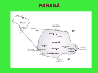 PARANÁPARANÁ
 