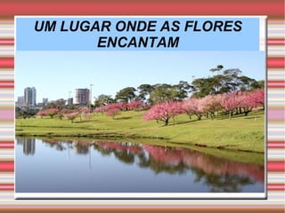 UM LUGAR ONDE AS FLORES
ENCANTAM
 