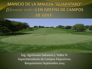 Ing. Agrónomo Salomón J. Valles N.
Superintendente de Campos Deportivos.
Barquisimeto Septiembre 2014
 
