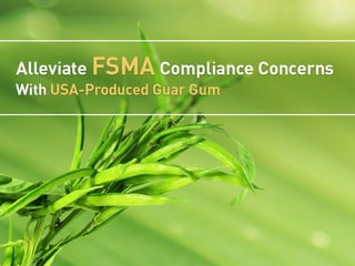 Alleviate FSMA Concerns With USA-Produced Guar Gum