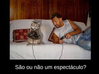 São ou não um espectáculo? 