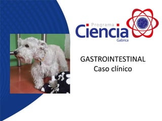 GASTROINTESTINAL
Caso clínico
 