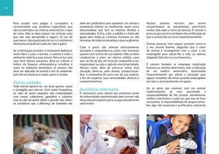 Para acabar com pulgas e carrapatos, é
recomendado usar produtos específicos, que
são encontrados nas clínicas veterinárias e lojas
do ramo. Não se deve passar nos animais nada
que não seja apropriado e seguro. O uso de
querosene, óleo queimado de carro e similares é
altamente prejudicial à pele de cães e gatos.
Se a infestação já existe, é necessário dedetizar
muito bem a casa, o quintal, a casinha e todo o
ambiente onde fica esse animal. Para se ter uma
casa livre desses parasitas, deve-se cultivar o
hábito da limpeza, eliminando-se entulhos e
mato no ambiente doméstico. O veneno não
deve ser aplicado no animal e sim no ambiente,
pois ele vai intoxicar e matar quem o recebe.
Outros cuidados
Todo animal aprecia ter um local quente, macio
e protegido para dormir. Com maior frequência,
os cães de porte pequeno são contemplados
com camas, cobertores, agasalhos e casinhas,
mas os cães de porte médio e grande não. Deve-
se considerar que a diferença de tamanho não
deve ser justificativa para submeter um animal a
tratamento inferior ou insuficiente, assim como
desconsiderar que tem os mesmos direitos e
necessidades. O frio, a dor, a solidão e a fome são
iguais para todas as criaturas, humanas ou não
humanas,detodosostamanhos,raçasougêneros.
Cães e gatos são animais extremamente
sociáveis e companheiros, tanto com humanos
quanto com outros de sua espécie. Não se deve
condená-los a viver em eterna solidão, para
que, ao fim do dia, ele sirva de companhia a seu
responsável, ou seja o vigia de uma propriedade.
Nesses casos, além de procurar evitar essa
situação, deve-se, pelo menos, proporcionar-
lhes a companhia de outro ser da sua espécie,
a fim de respeitar suas necessidades afetivas e
comportamentais.
Assistência veterinária
É necessário estar atento aos primeiros sinais
de enfermidade manisfestados pelo animal, não
deixandoparadepoisaprocuraporatendimento
veterinário.
Muitos animais morrem, por serem
encaminhados ao atendimento veterinário
muitos dias após o início da doença. É comum a
procura por socorro só depois da certificação de
que o animal não se curou espontaneamente.
Outras pessoas nem sequer prestam socorro
a seu animal doente, alegando que o valor
do animal é incompatível com o valor a ser
empregado para salvar-lhe a vida, ou apenas
alegando falta de recurso financeiro.
É comum também se empregar medicação
humana ou mesmo veterinária, sem a indicação
de um médico veterinário, terminando
frequentemente por piorar a situação, pois
alguns remédios são letais quando empregados
em cães e, principalmente, em gatos.
Ao se optar por conviver com um animal,
implicitamente se está assumindo a
responsabilidade de lhe prestar atendimento
médico veterinário a cada vez que isso se fizer
necessário. A impossibilidade de proporcionar-
lhe algo tão essencial é justificativa suficiente
16
 