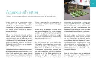 filhotes e se protege. Sua presença é parte de
um complexo ecossistema, de uma teia que gera
e promove a vida.
Ao ser caçado e capturado, o animal perde
suas referências e passa a ser tratado como um
produto a ser vendido em um mercado nacional
ou internacional. Basta nos colocarmos no lugar
de um deles para termos ideia da violência física,
afetiva e ecológica dessa ação.
Um dado fornecido pela WWF-Brasil é que,
de cada dez animais capturados, somente um
sobrevive à captura. Esse comércio é muito
forte dentro do Brasil e serve de ponte para
os traficantes internacionais. Imaginem que
eles são transportados nas piores condições
possíveis e por até 3.000 quilômetros de
distância, sem que os traficantes sejam
descobertos. As inúmeras mortes se devem ao
A fauna compõe-se do conjunto de animais
estabelecidos em determinada região,
incluídos os seus abrigos, ninhos e criadouros.
Considerando as características e o habitat de
cada espécie, a fauna divide-se em silvestre,
exótica e doméstica.
O Brasil é um dos países do mundo que mais
exporta animais silvestres ilegalmente. Esse
negócio movimenta mais de 1 bilhão de dólares
e comercializa cerca de 12 milhões de animais
anualmente, segundo dados da WWF-Brasil.
O tráfico de animais silvestres só perde para o
tráfico de drogas e armas.
O animal silvestre não está acostumado a viver
perto das pessoas. O território onde nasce e vive
é uma grande referência, pois é lá que guarda
suas marcas, conhece e identifica cheiros e sons
pelos quais se move, busca alimento, tem seus
desconforto de malas, gaiolas e caixotes sem
ventilação e à falta de alimento ou água. Muitos
são mutilados para que se tornem menos
perigosos. Os mais contrabandeados são
papagaios, araras, periquitos, micos, tartarugas
e tucanos, porém, essa listagem é muito maior.
Com tudo isso que foi dito, já temos motivos
de sobra para não termos animais silvestres
em casa como bichos de estimação, mesmo
que tratemos bem deles. Aquele que compra
animais passa a ser cúmplice de um crime,
além de alimentar um comércio ilegal. A Lei de
Crimes Ambientais, Lei nº 9.605 / 98, proíbe a
utilização, a perseguição, a destruição e a caça
de animais silvestres.
Lugar de animal silvestre é em seu habitat, não
em gaiolas e cativeiros nas cidades. Isso não é
natural, não é justo, não é ético.
Animais silvestres
Criando fiscalizadores da fauna brasileira em cada canto do nosso Estado
23
 