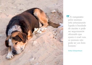 A compaixão
pelos animais
está intimamente
ligada à bondade
de caráter e pode
ser seguramente
afirmado que
quem é cruel com
os animais não
pode ser um bom
homem.”
Arthur Schopenhauer
 