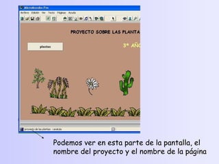 Podemos ver en esta parte de la pantalla, el nombre del proyecto y el nombre de la página 