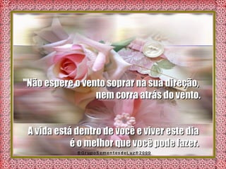 " Não espere o vento soprar na sua direção,  nem corra atrás do vento. A vida está dentro de você e viver este dia  é o melhor que você pode fazer.  