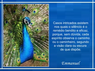 Casos intricados existem
         nos quais o silêncio é o
        remédio bendito e eficaz,
       porque, sem dúvida, cada
       espírito observa o caminho
       ou o caminheiro, segundo
         a visão clara ou escura
              de que dispõe.



Modi         Emmanuel
 