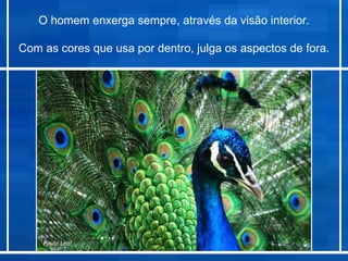 O homem enxerga sempre, através da visão interior.

Com as cores que usa por dentro, julga os aspectos de fora.




    Paulo Leal
 