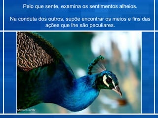 Pelo que sente, examina os sentimentos alheios.

Na conduta dos outros, supõe encontrar os meios e fins das
             ações que lhe são peculiares.




  Manoel Cortêz
 