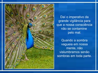 Daí o imperativo da
           grande vigilância para
          que a nossa consciência
             não se contamine
                 pelo mal.

            Quando a sombra
            vagueia em nossa
                mente, não
           vislumbramos senão
          sombras em toda parte.

Gabriel
 
