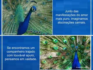 Junto das
                       manifestações do amor
                       mais puro, imaginamos
                        alucinações carnais.


Érica Scanholato




 Se encontramos um
 companheiro trajado
 com louvável apuro,
pensamos em vaidade.

                                    Armênio Lourenço
 