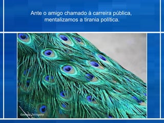 Ante o amigo chamado à carreira pública,
            mentalizamos a tirania política.




Georgia Zeringota
 