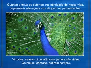 Quando a treva se estende, na intimidade de nossa vida,
 deploráveis alterações nos atingem os pensamentos.




Fábio Dalboni


      Virtudes, nessas circunstâncias, jamais são vistas.
             Os males, contudo, sobram sempre.
 