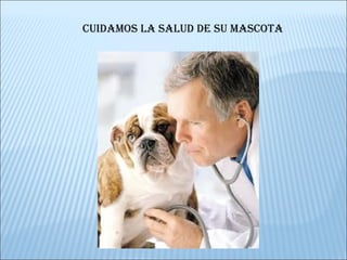 CUIDAMOS LA SALUD DE SU MASCOTA  