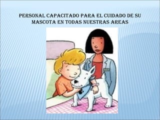 PERSONAL CAPACITADO PARA EL CUIDADO DE SU MASCOTA EN TODAS NUESTRAS AREAS 