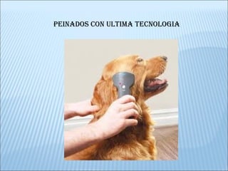 PEINADOS CON ULTIMA TECNOLOGIA 