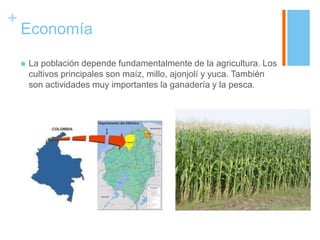 +
    Economía

       La población depende fundamentalmente de la agricultura. Los
        cultivos principales son maíz, millo, ajonjolí y yuca. También
        son actividades muy importantes la ganadería y la pesca.
 