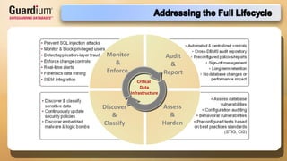 Critical  Data Infrastructure Audit & Report Assess & Harden Discover & Classify Monitor  &  Enforce  