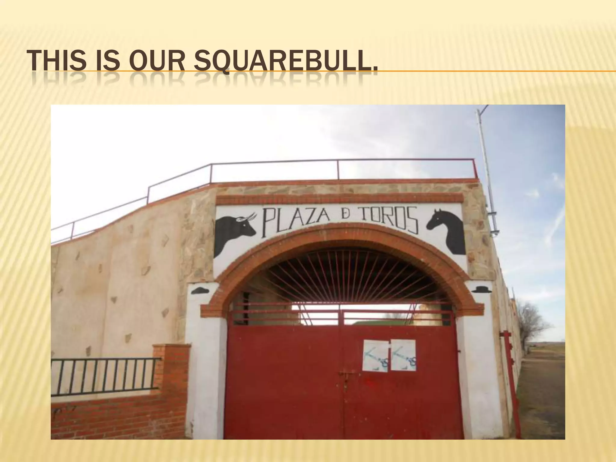 THIS IS OUR SQUAREBULL.
 