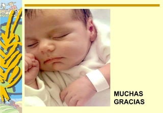 MUCHAS
GRACIAS
 