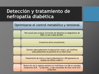 Detección y tratamiento de
nefropatía diabética
Optimizarse el control metabólico y tensional.
Test anual para evaluar exc...