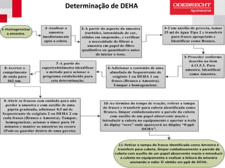 Determinação de DEHA
 