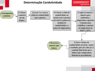 Determinação Condutividade
 