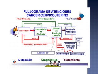Guías clínicas y garantías ges
